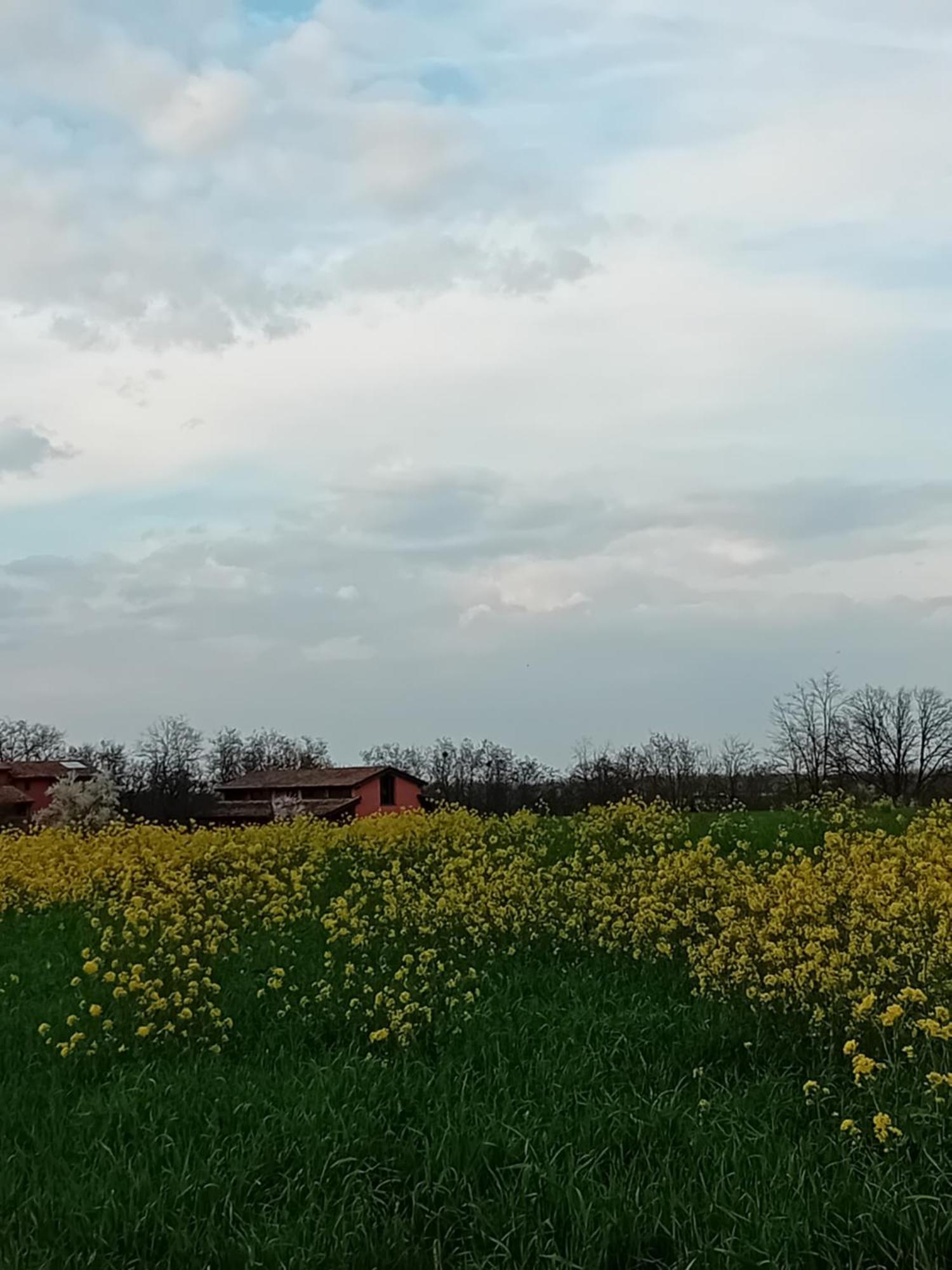 B&Ble Tre Gemme Montechiarugolo Εξωτερικό φωτογραφία